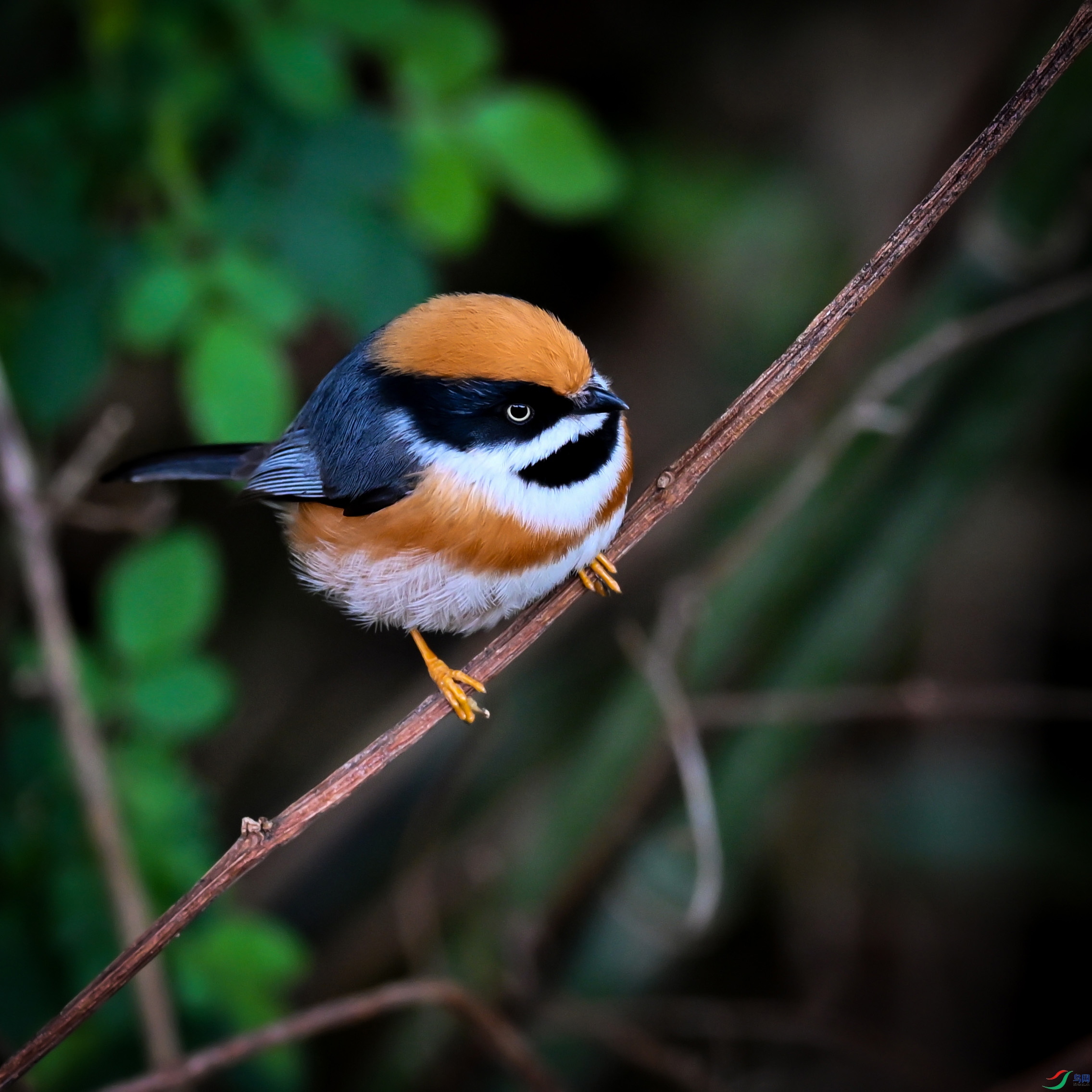 DSC_5435.jpg