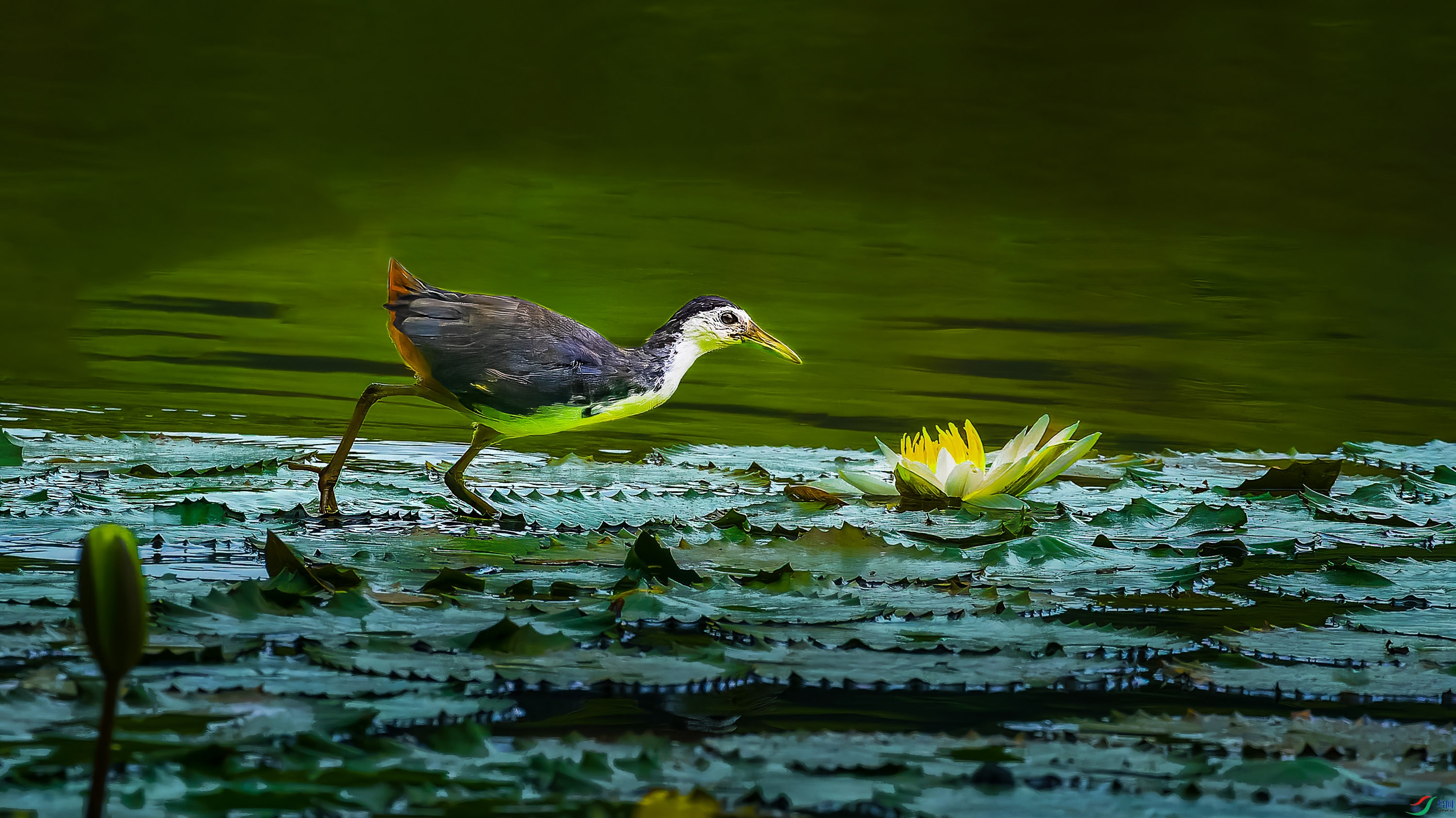 P9220079-ORF_DxO_DeepPRIMEXD ���� 2.jpg