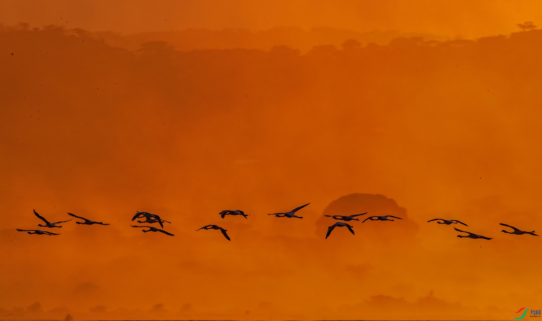 DSCV3436 ����_����.jpg