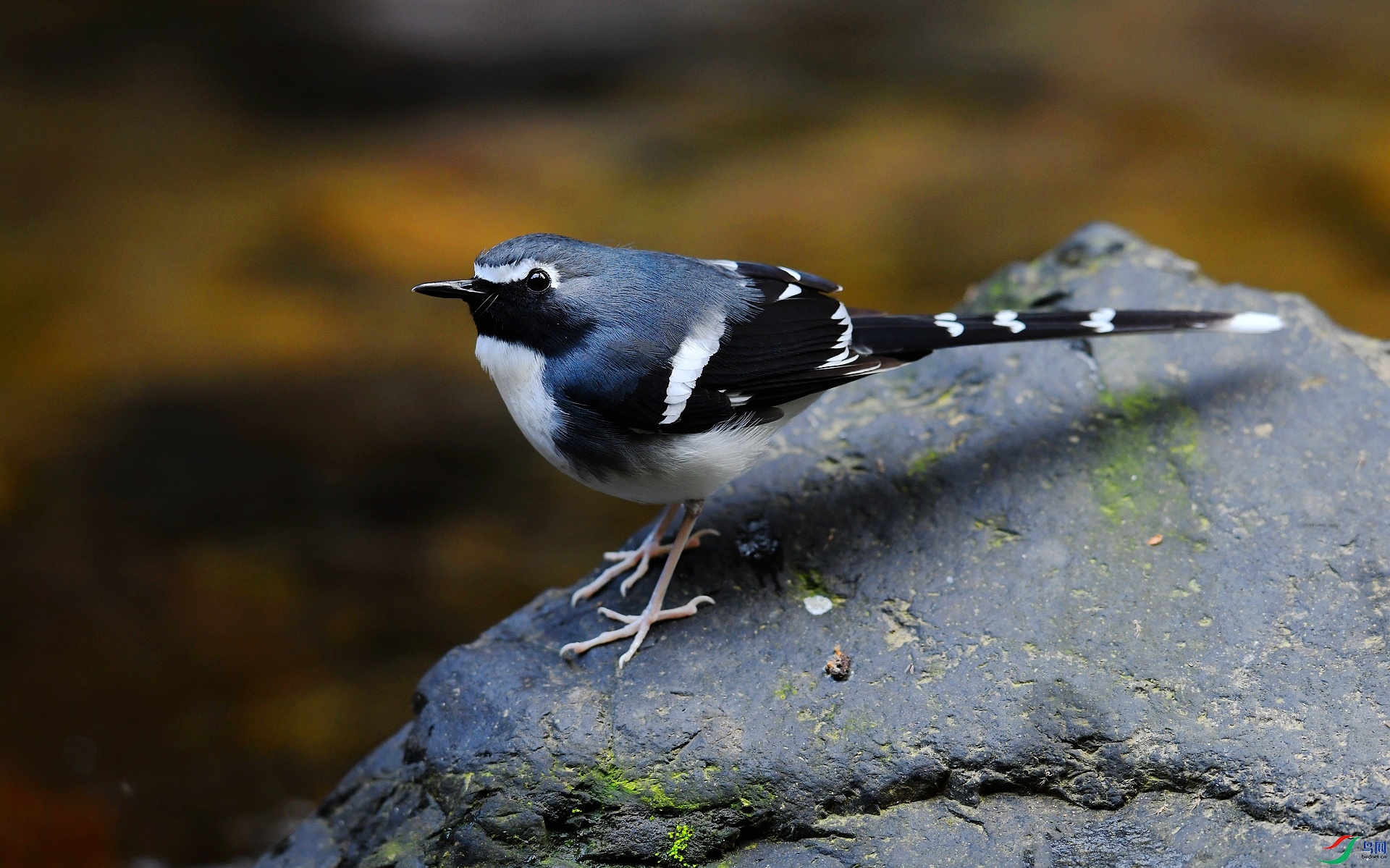 DSC_3906.jpg