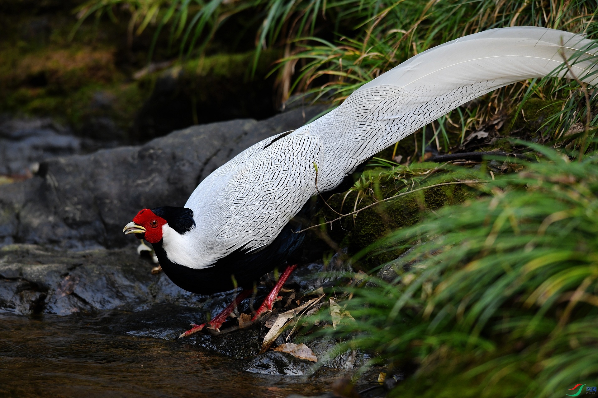 DSC_4179.jpg