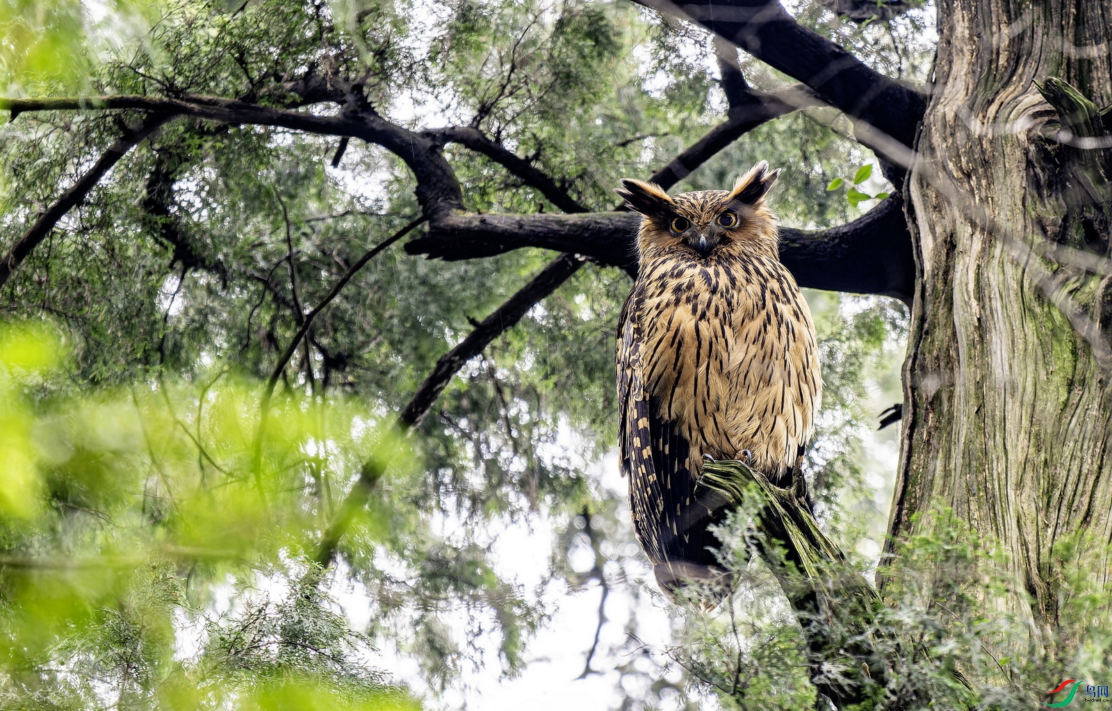 �������^-1 (12)-1.jpg