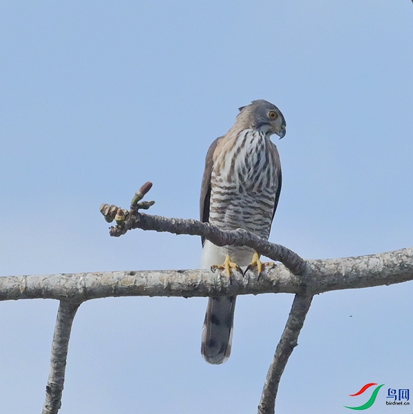 DSC_7696.JPG