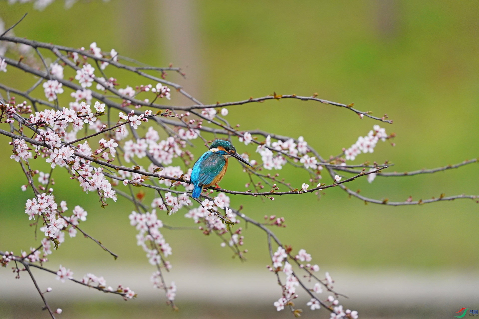 DSC07058-1.jpg