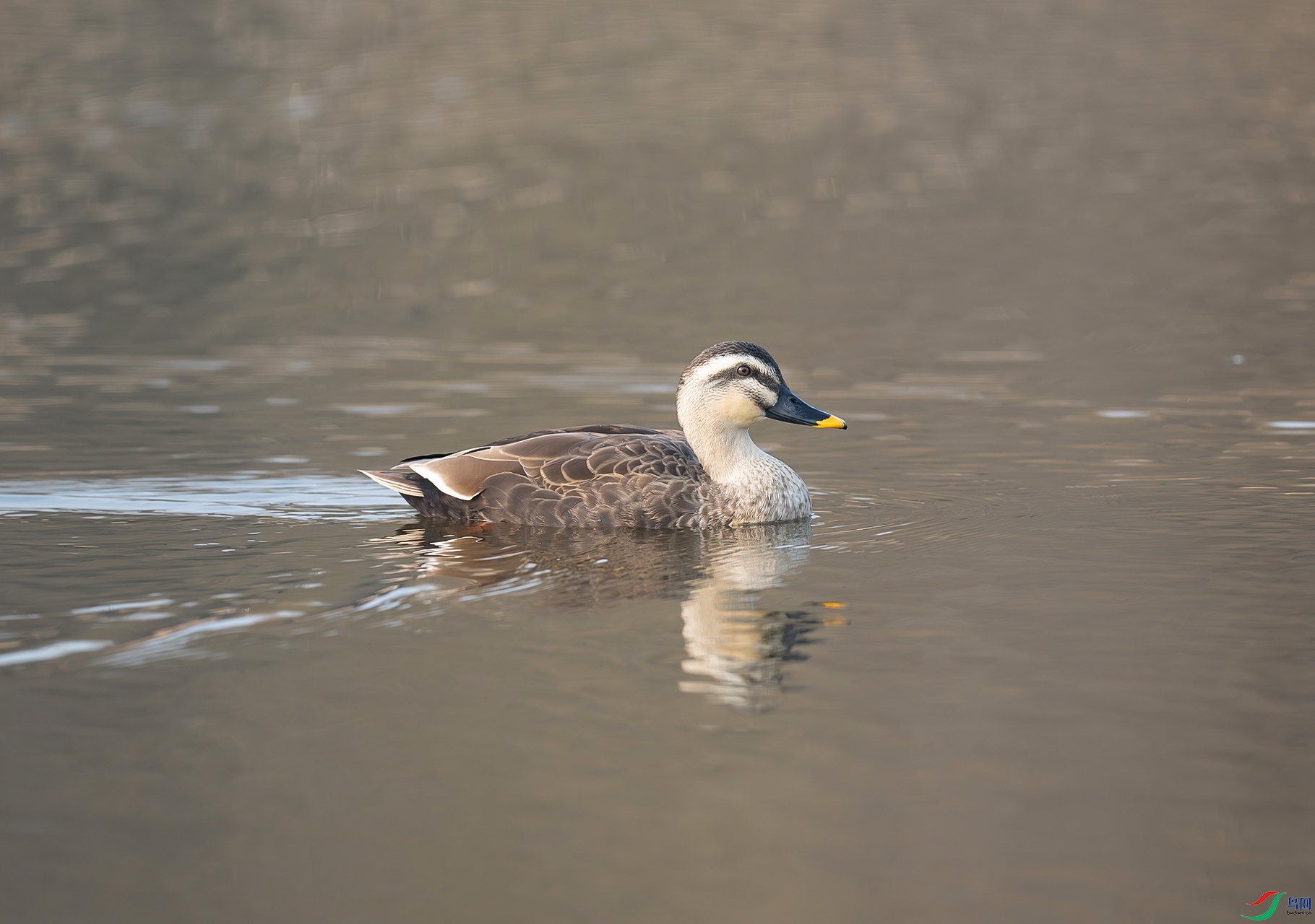 DSC_7726f.jpg