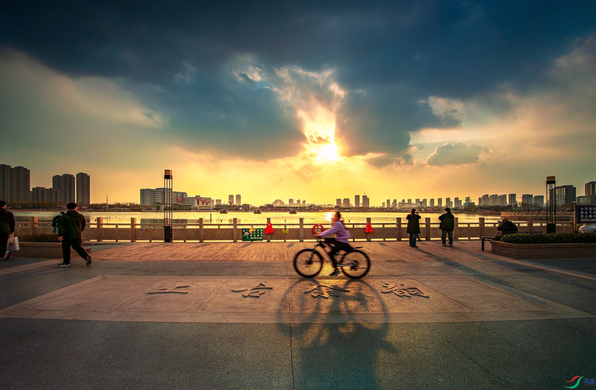 1_XXL5616-����ǿ-NR-1 2.jpeg