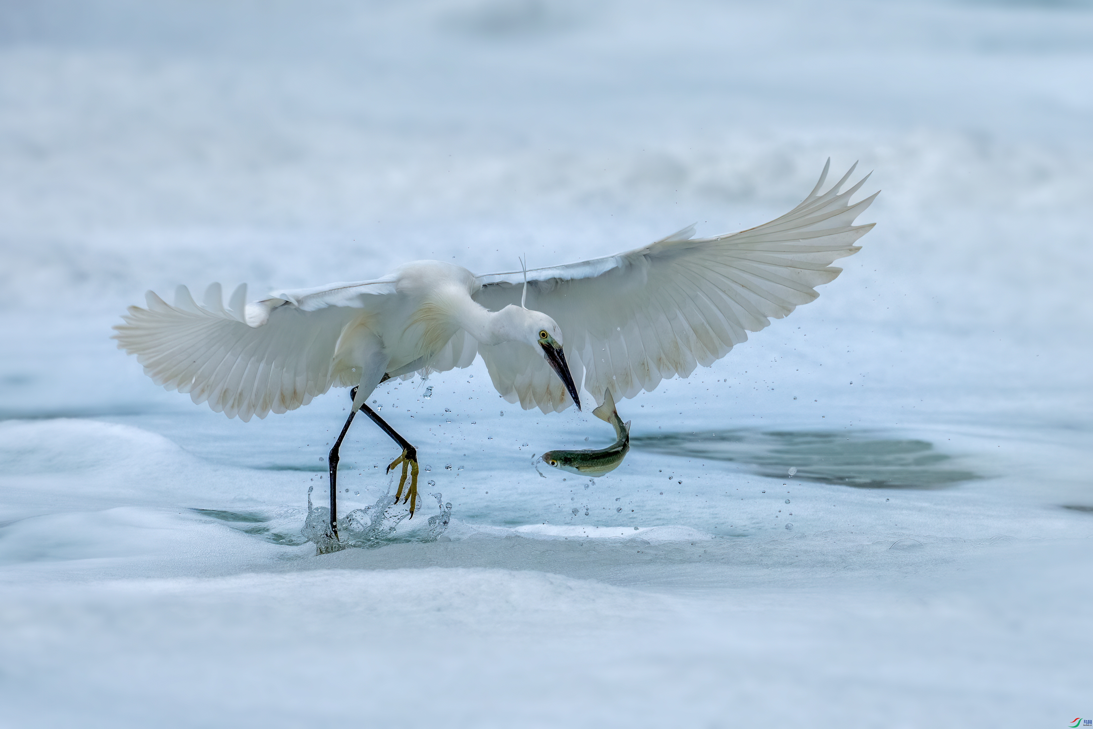 DSC06167 ����.jpg