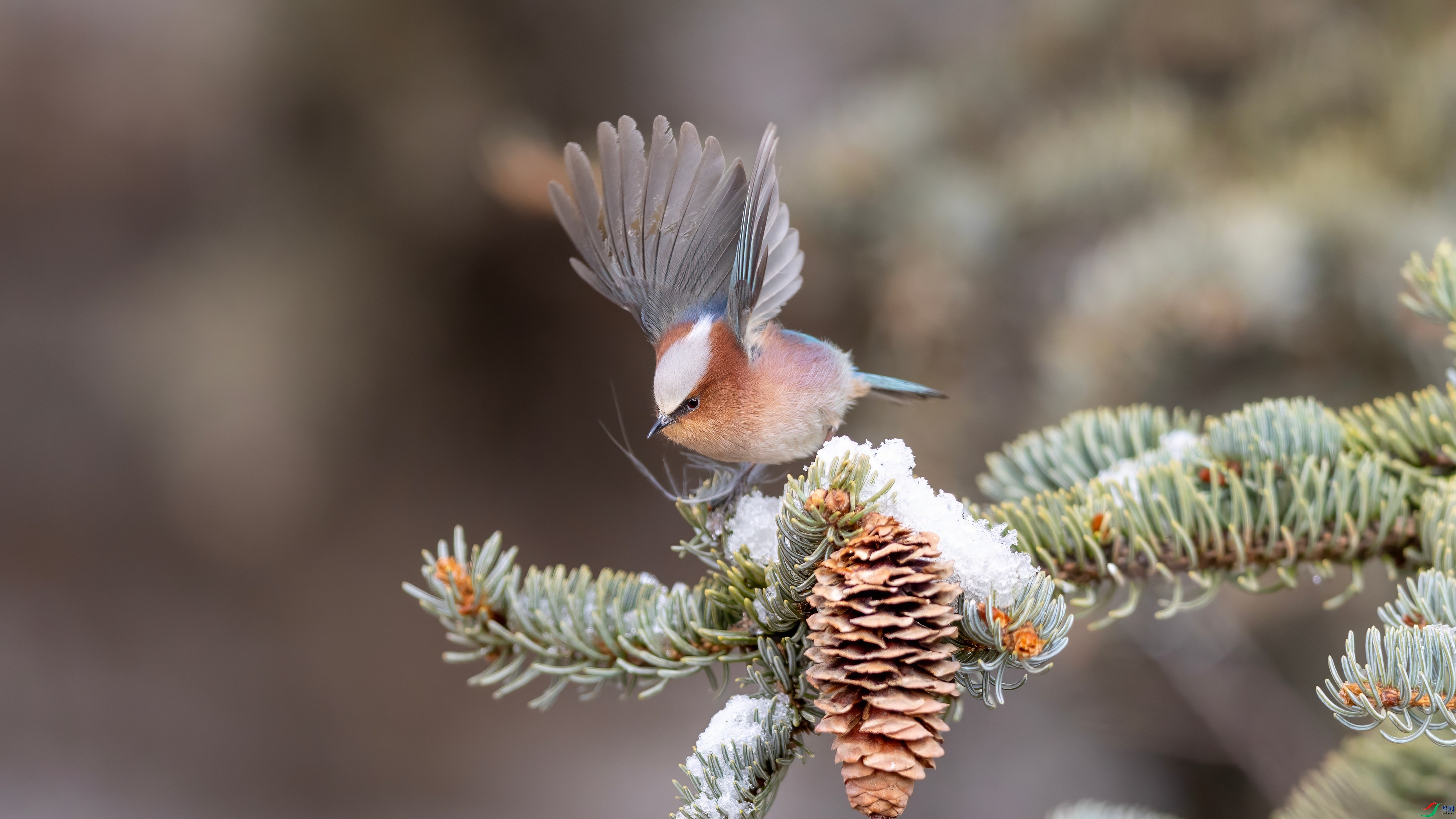 R5_28496 ����_����.jpg