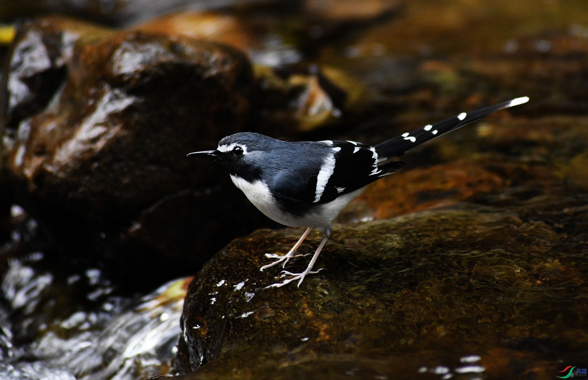 DSC_4580.jpg
