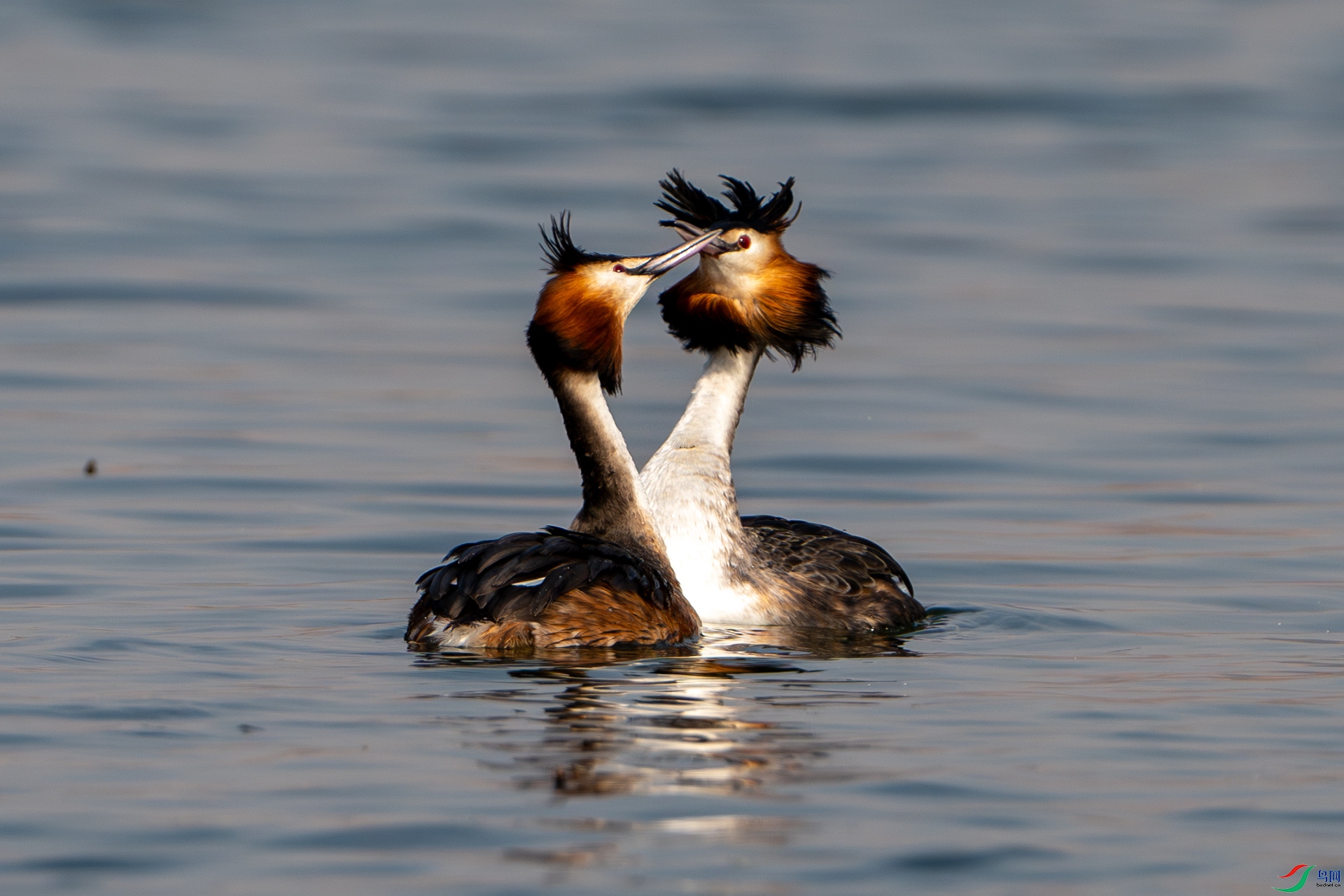 DSC04129-����ǿ-NR ����.jpg