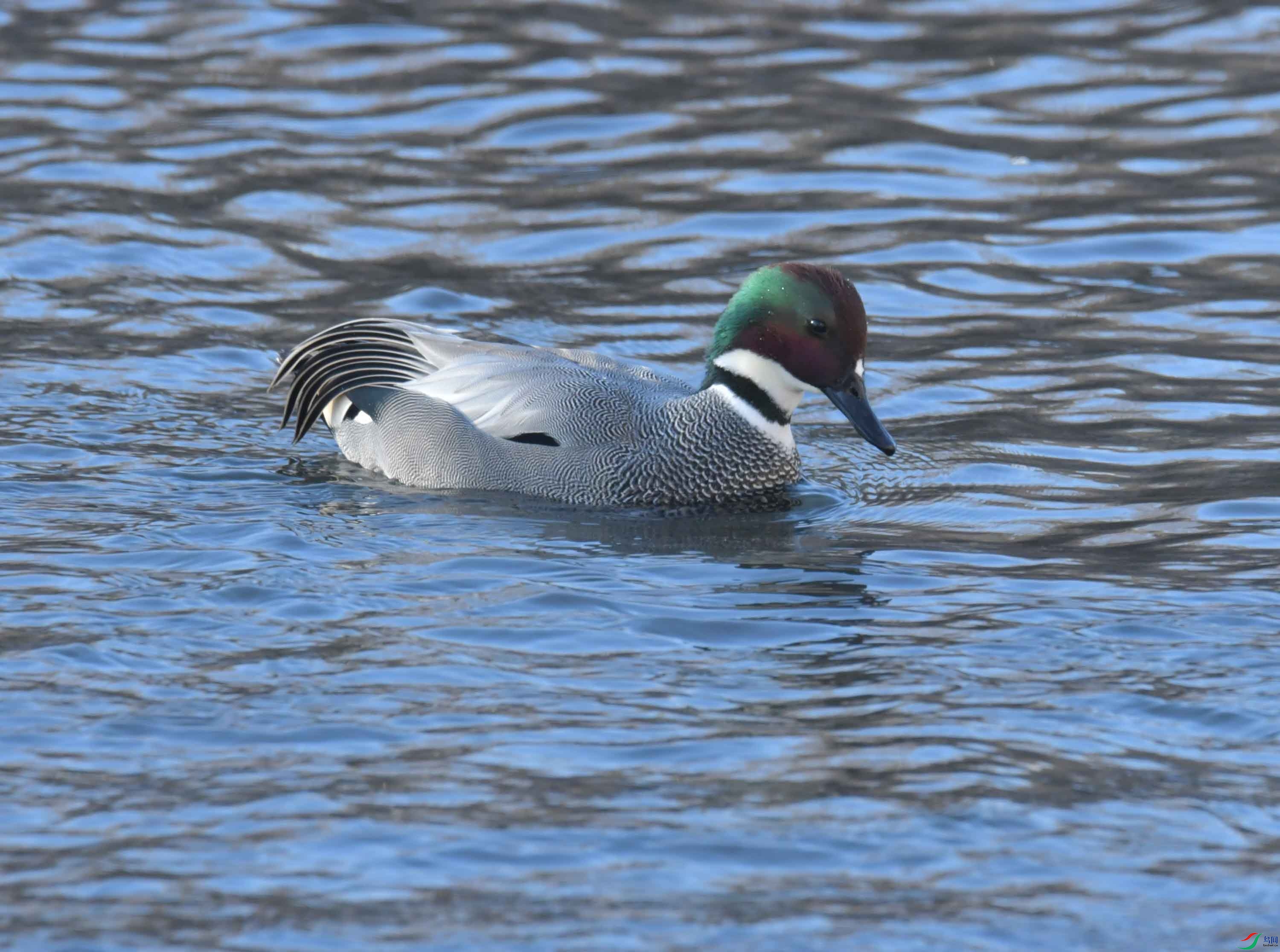 DSC_9569.JPG