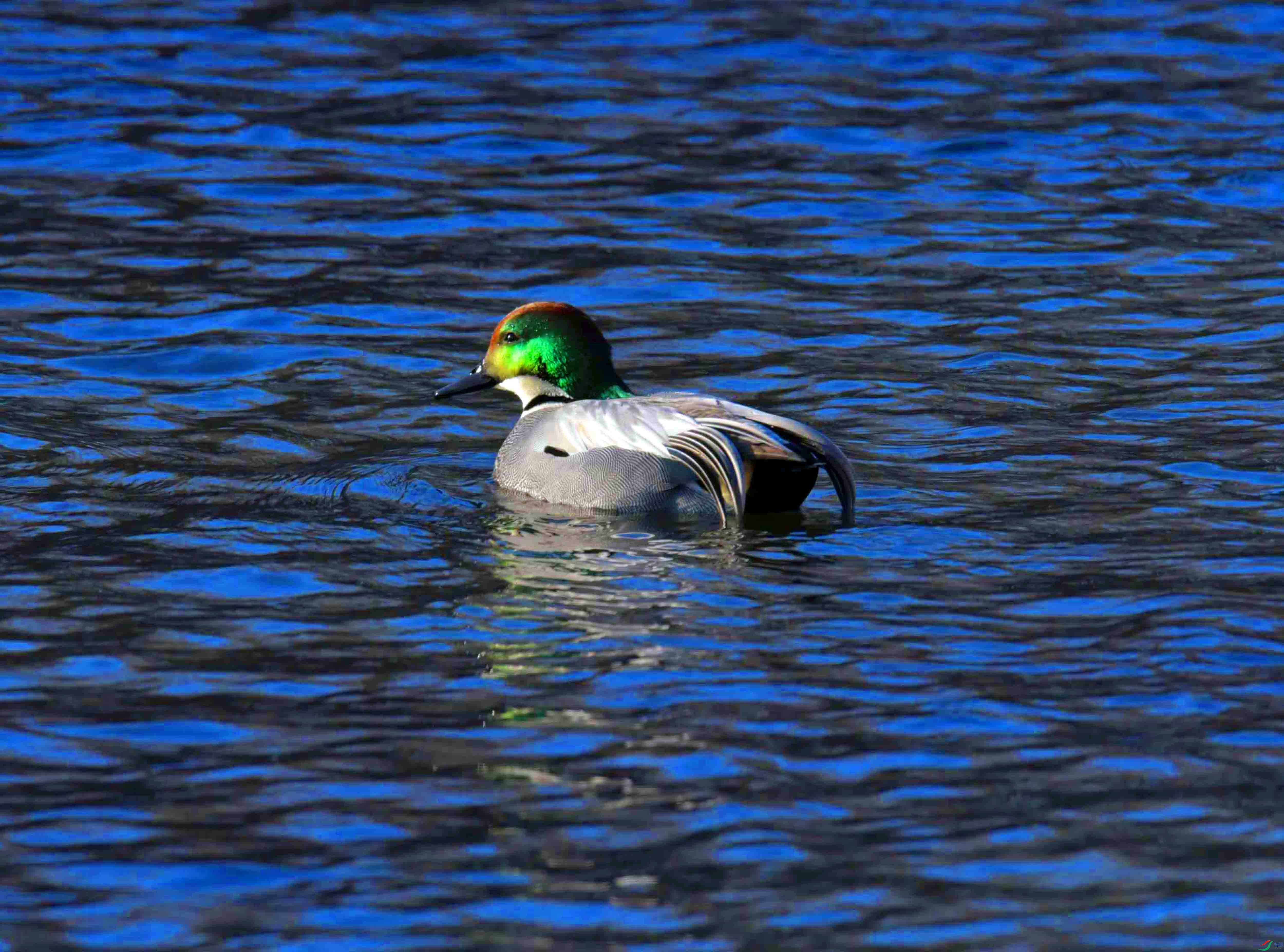 DSC_9578.JPG