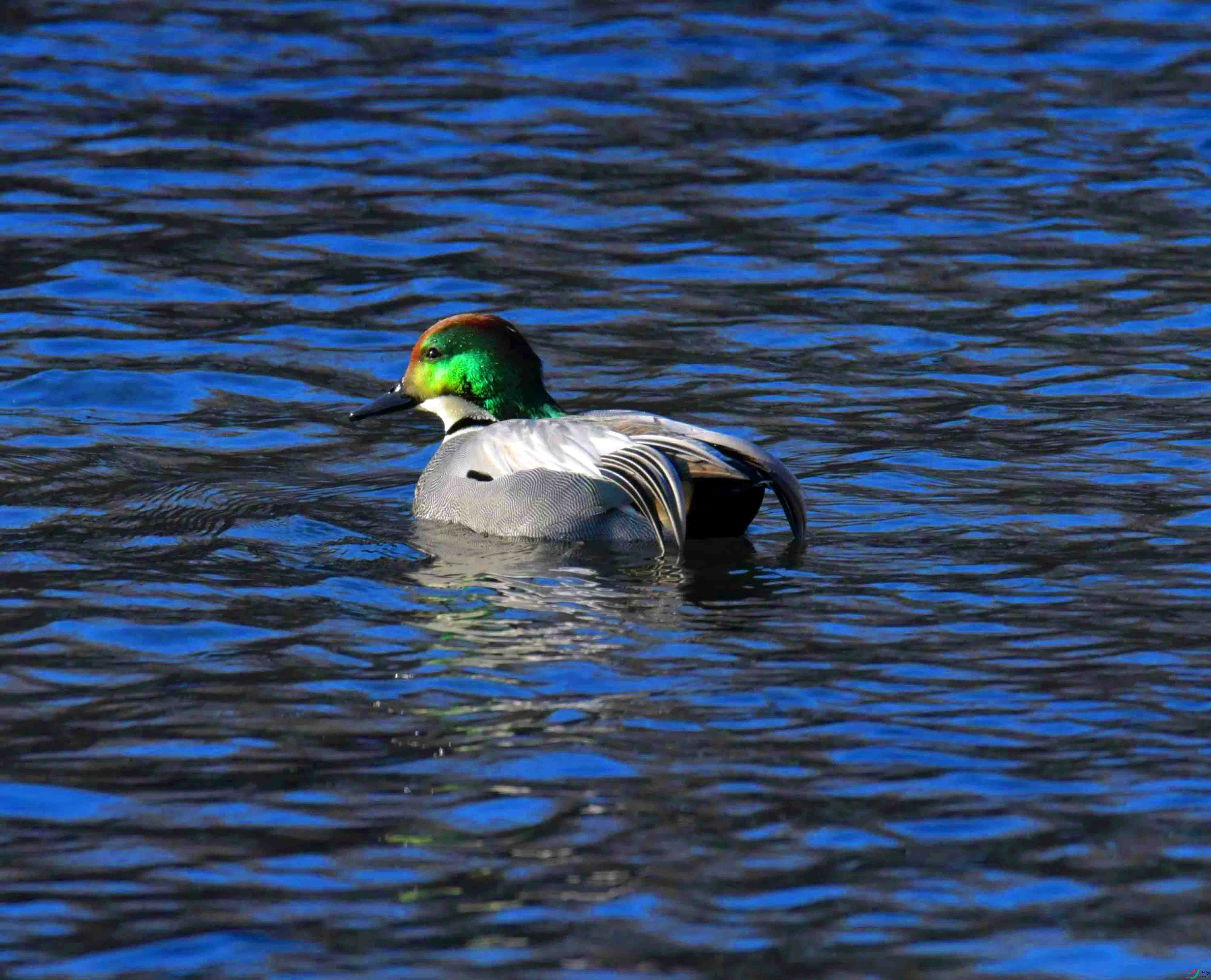 DSC_9579.JPG