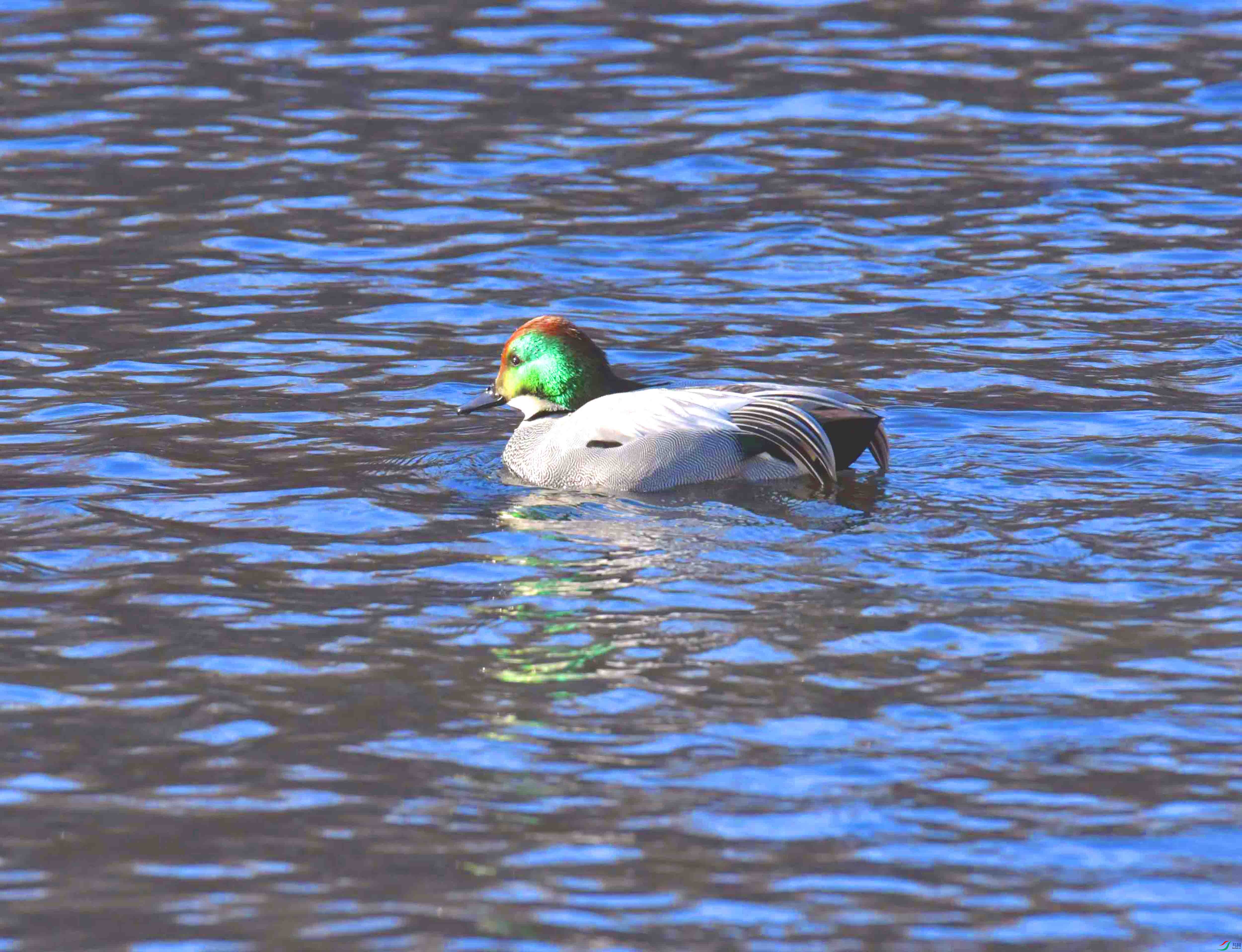 DSC_9582.JPG