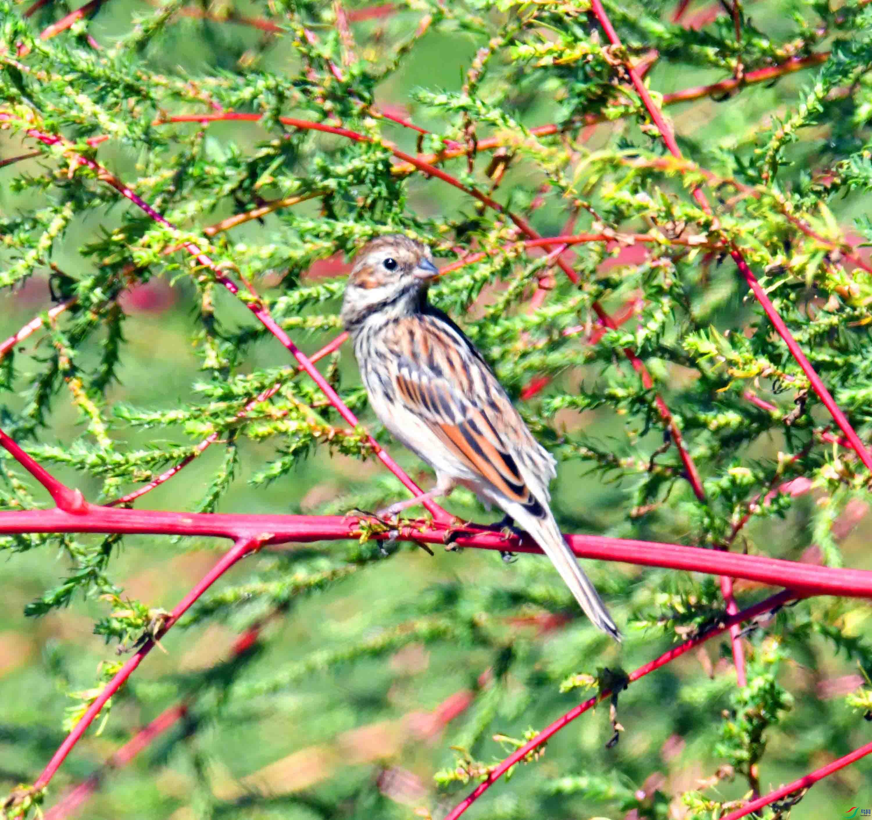 DSC_1284.JPG