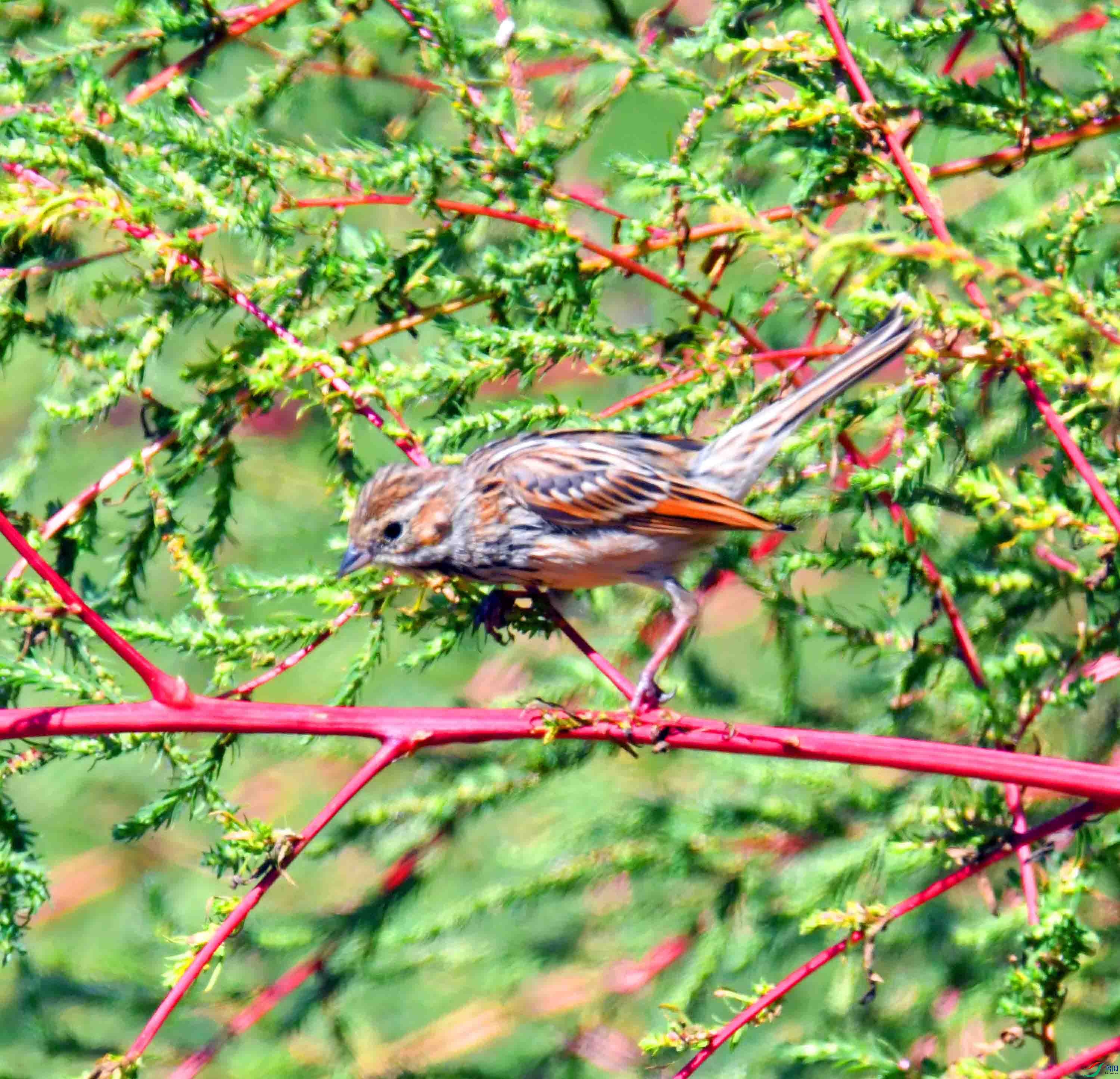 DSC_1291.JPG