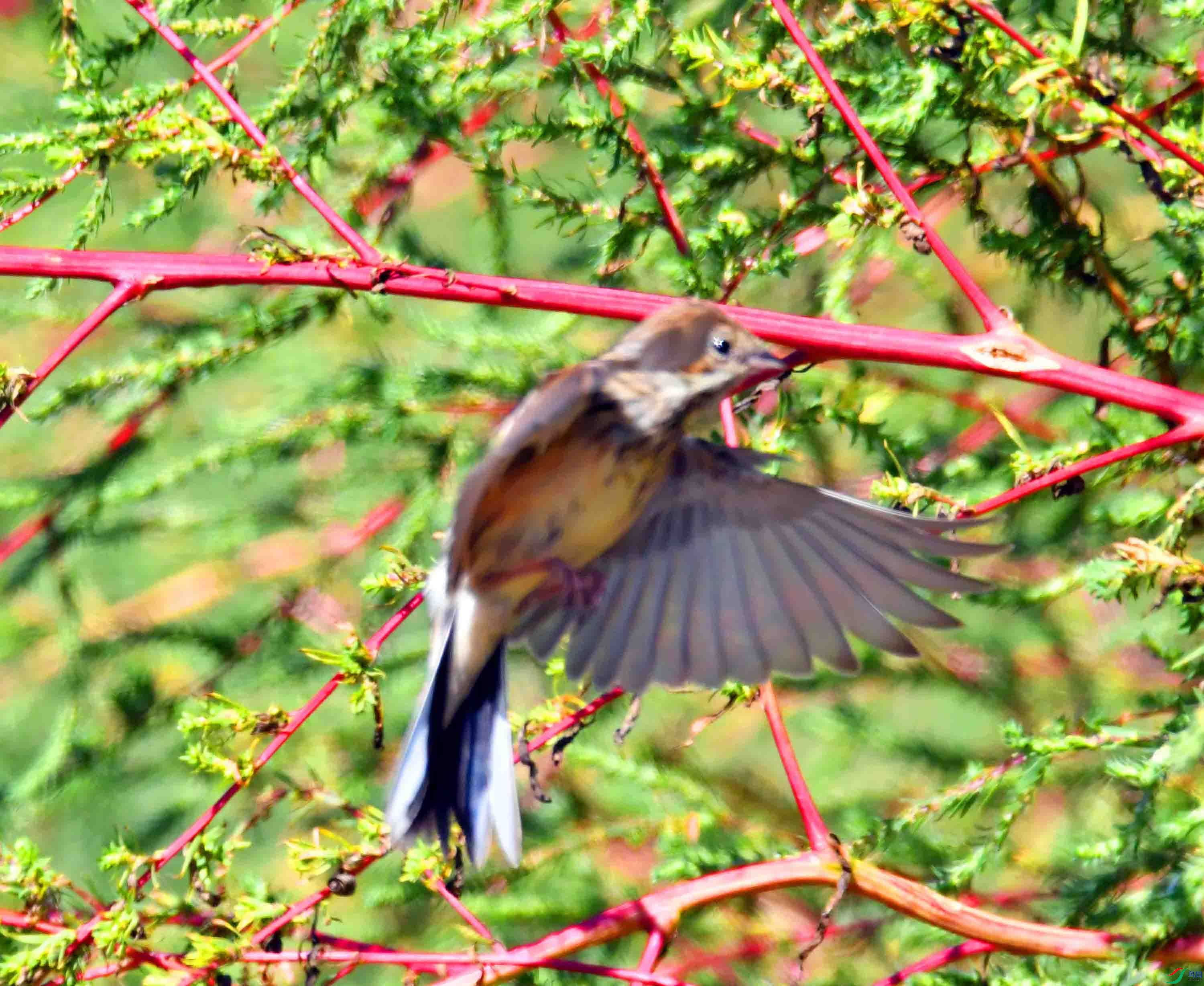 DSC_1294.JPG