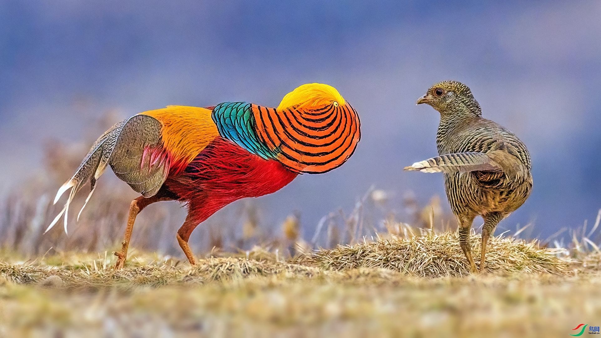 ����֮��  ���� ������ �ܶ�.jpg