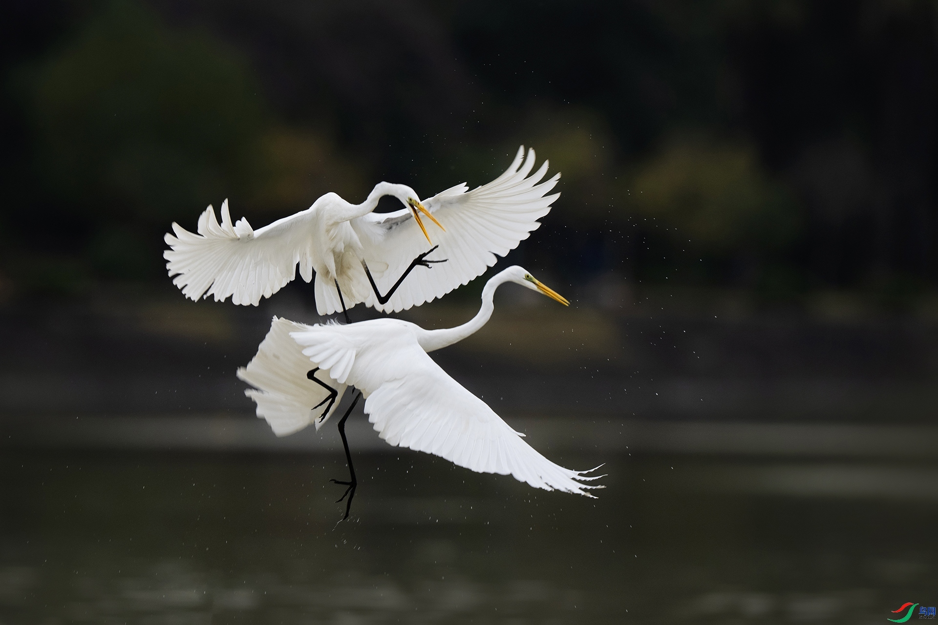 ����� ���� �ϫ  �ܶ�.jpg