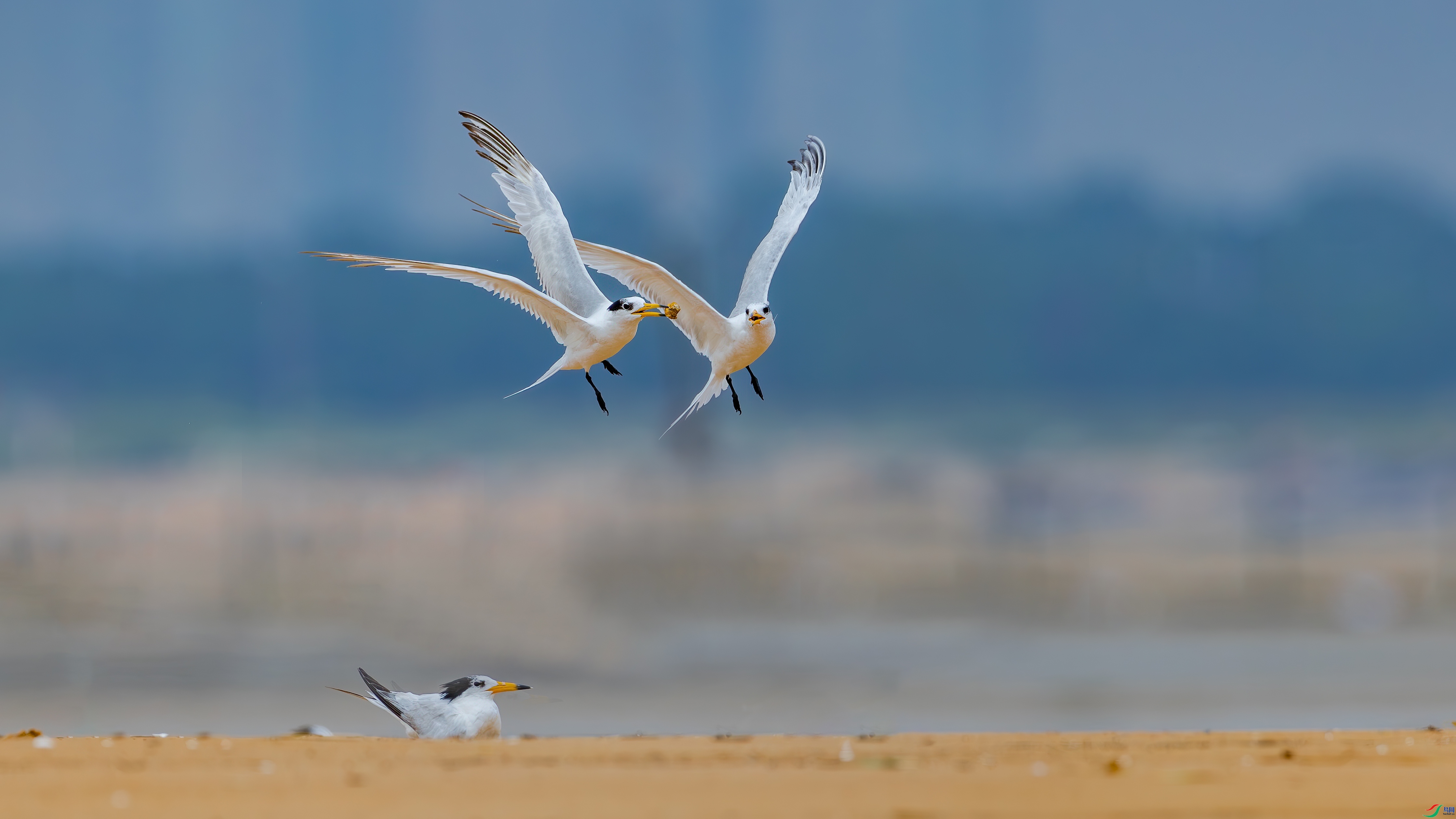 ׷��  ���� �䱾���� ����.jpg