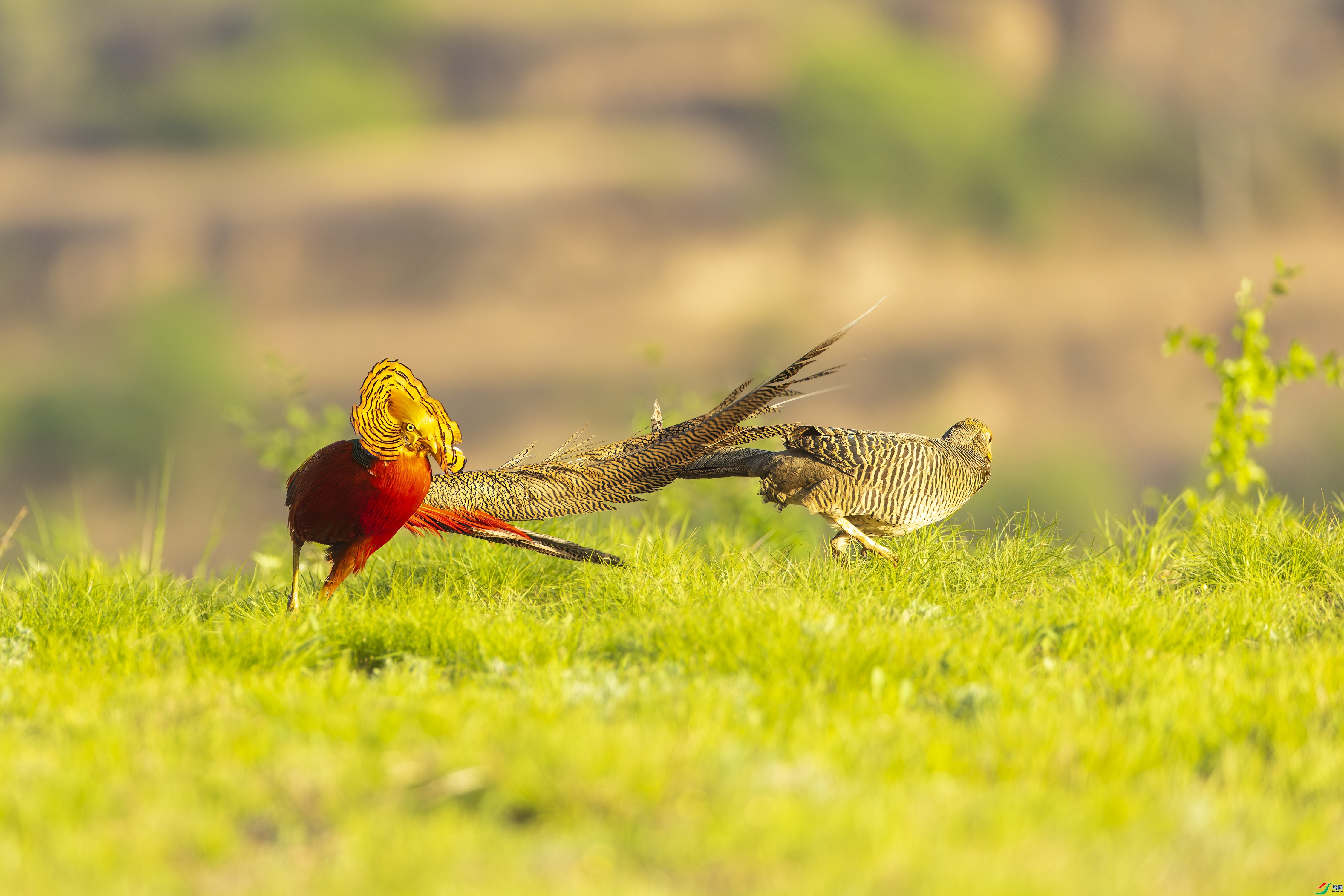 �츹���� ���� ������ ����.jpg