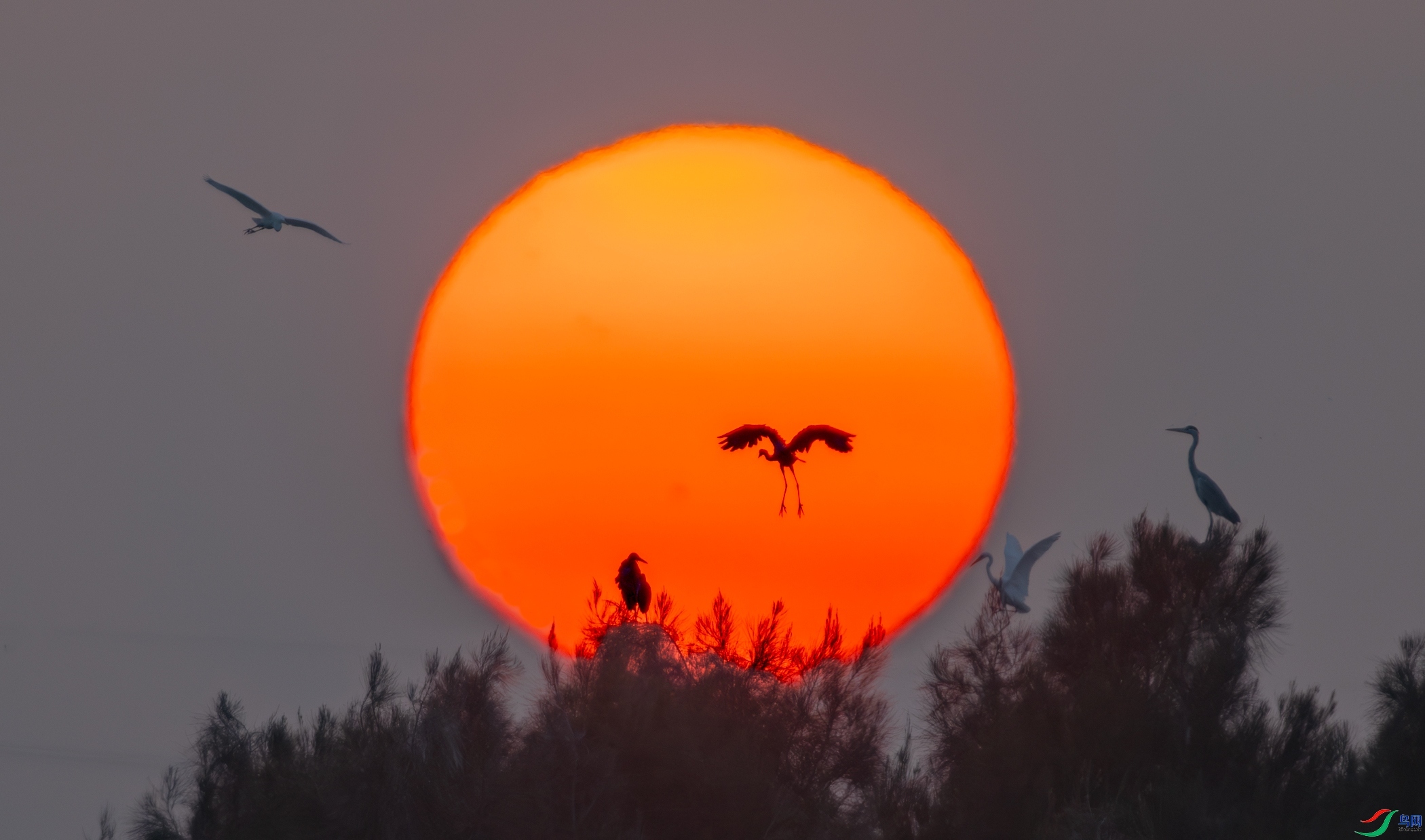 ���� ���� ����  ����.jpg