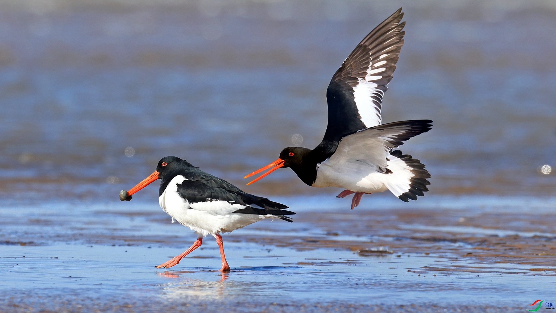 ͵Ϯ ���� ������ ����.jpg