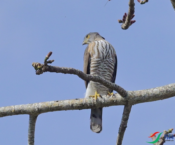 DSC_7565.JPG
