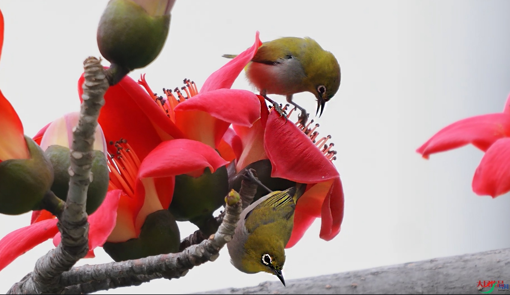 {7B4850BF-C459-4765-8D65-94FFBAD77B8F} ����.jpg