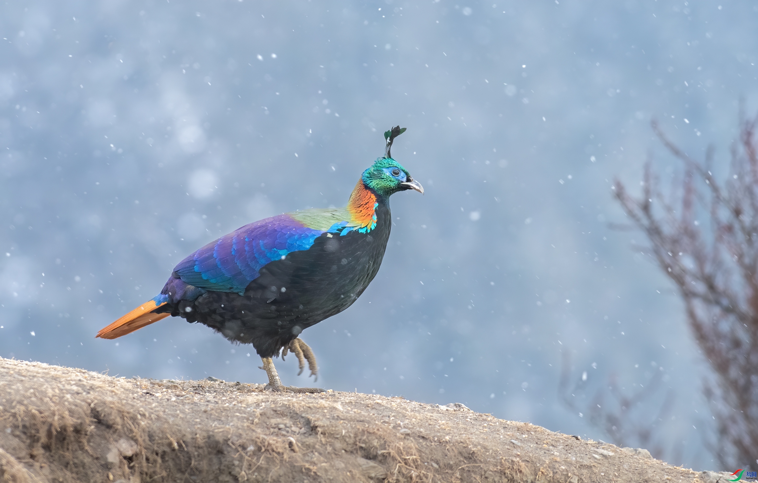 ��β���� ���� ��Ͽ֮�� ����.jpg