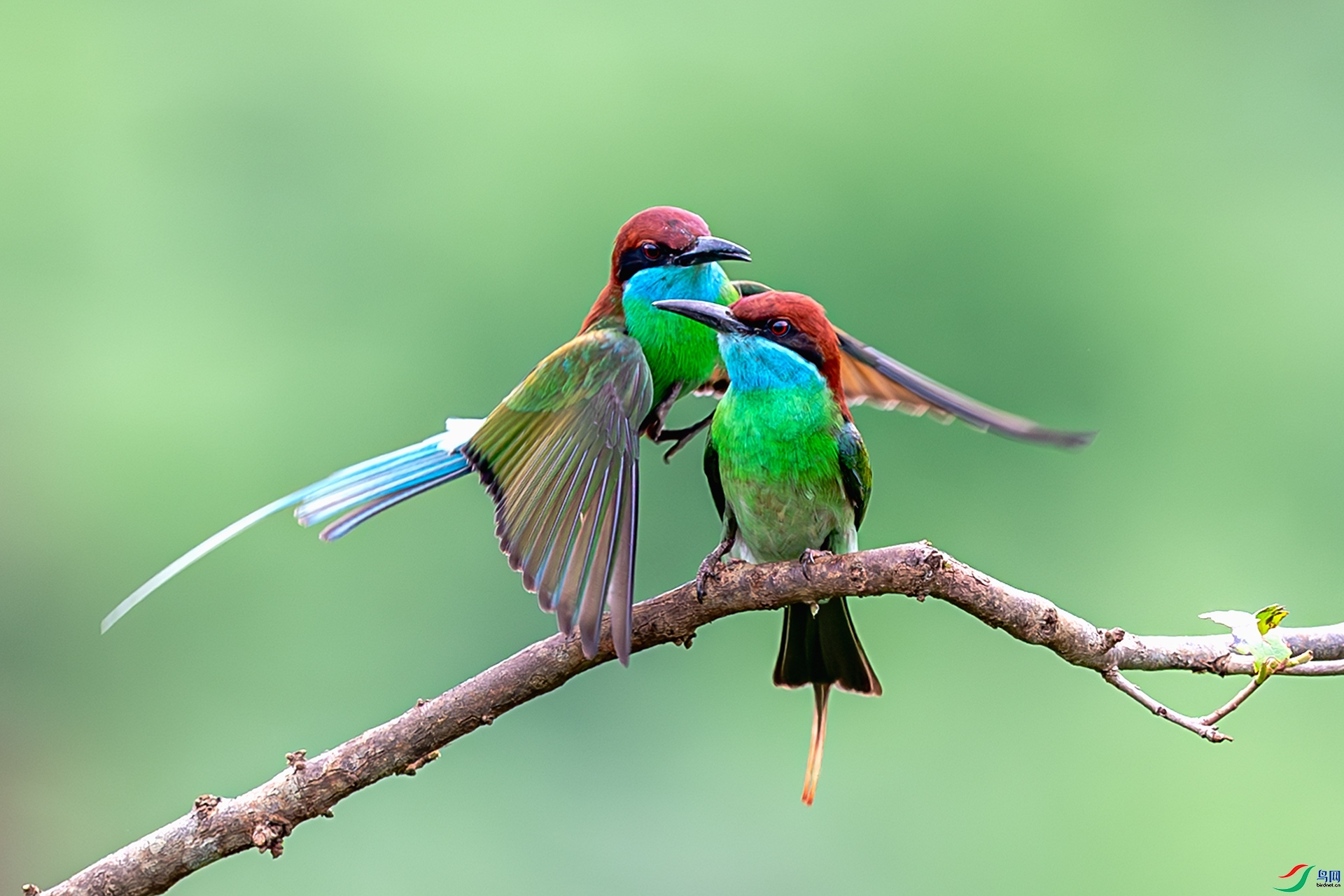 ��λ  ���� ����ǿ ����.jpg