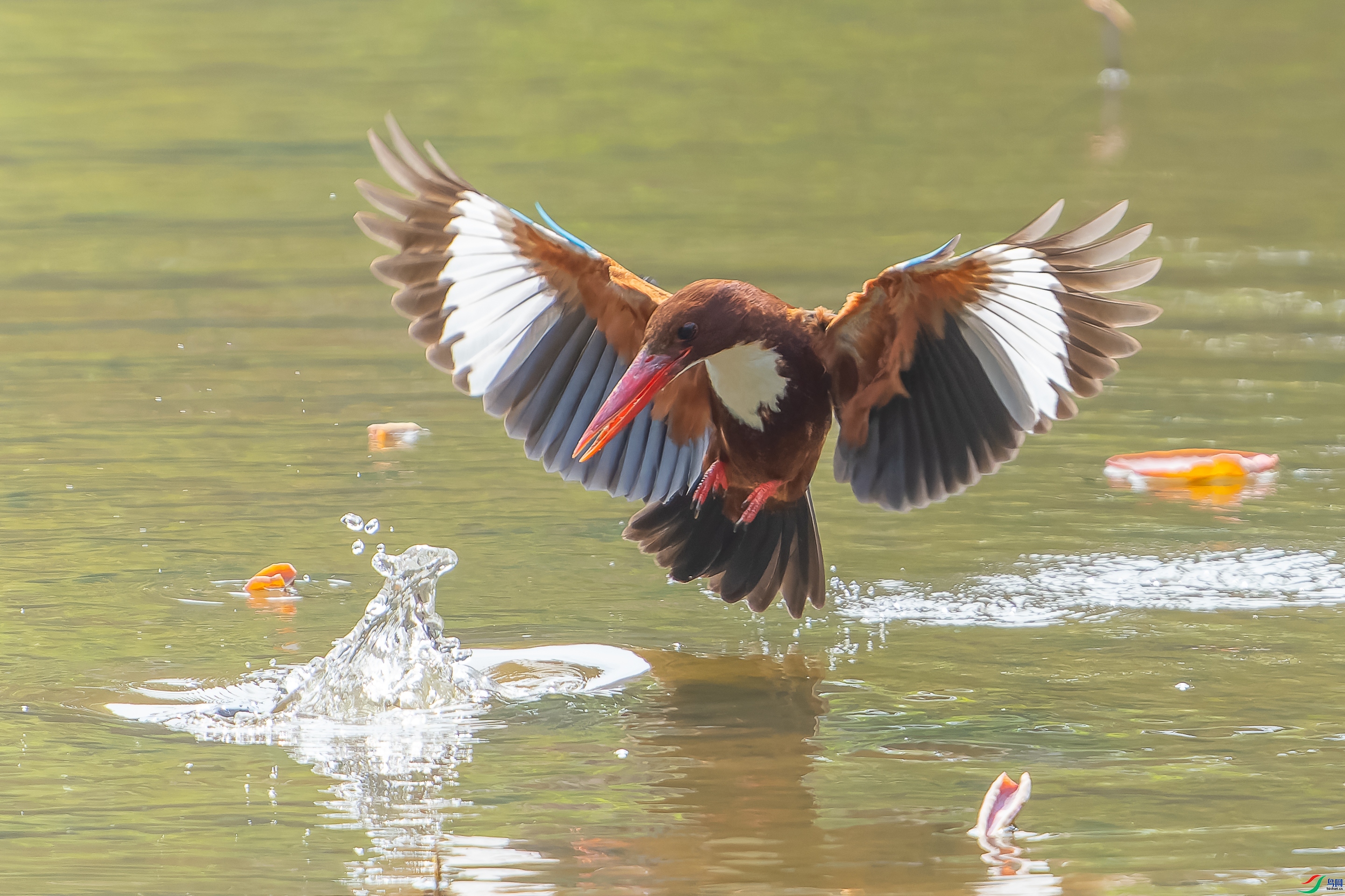 ����Ŀ�� ���� qpwu2021  ����.jpg