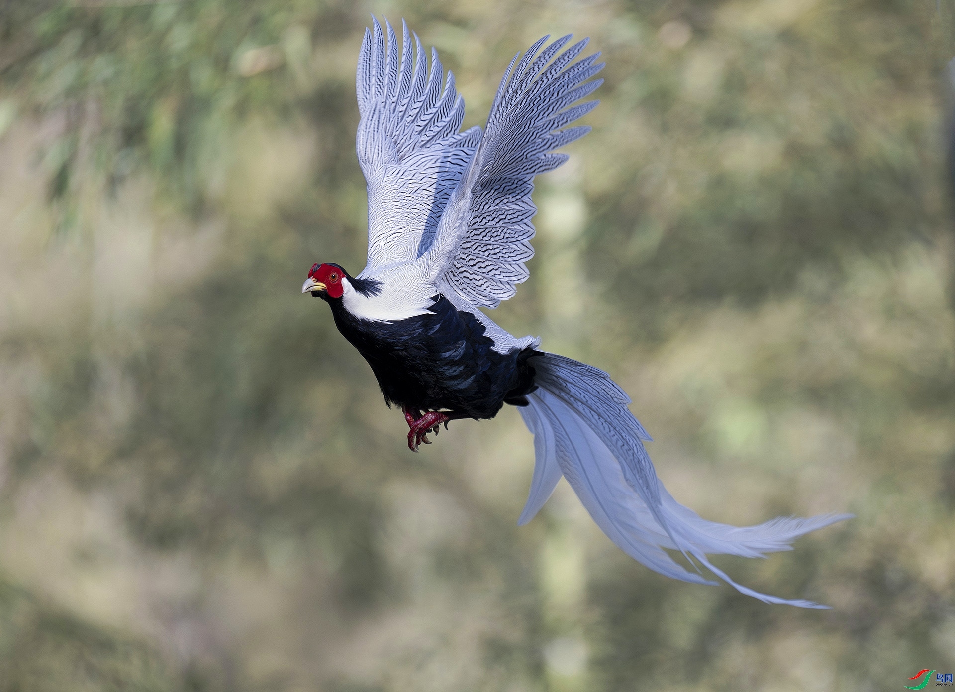 ӭ������İ���  ���� ����.jpg