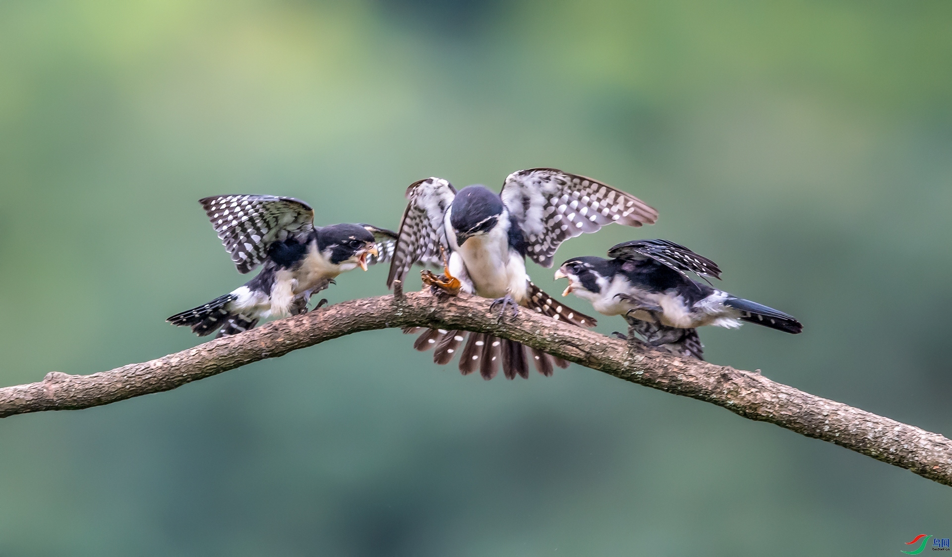 ����С�� ���� ���� ����.jpg