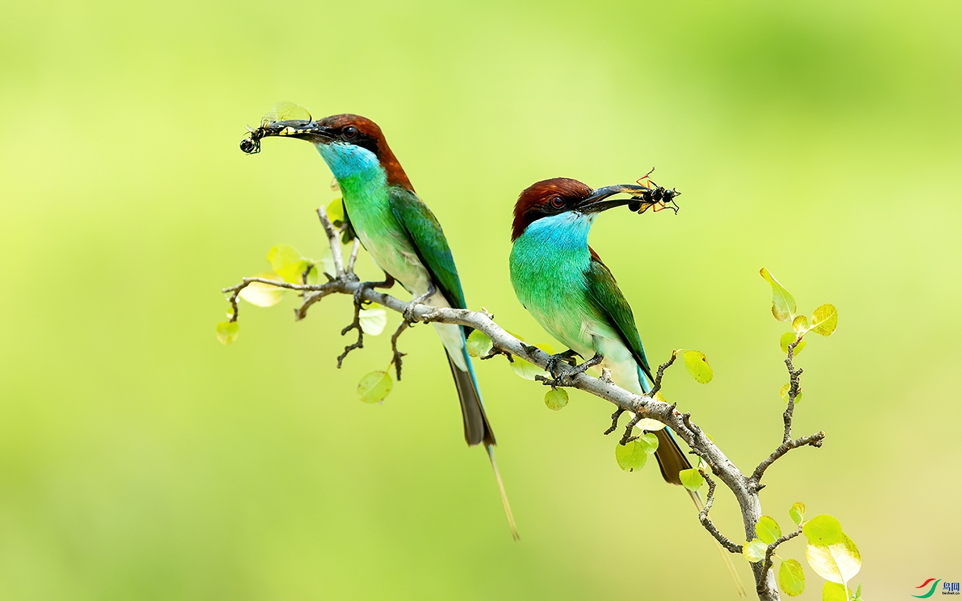 ˫�ջ� ���� л���� ����.jpg