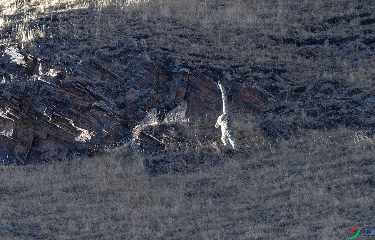 DSC_1884 ����2.jpg