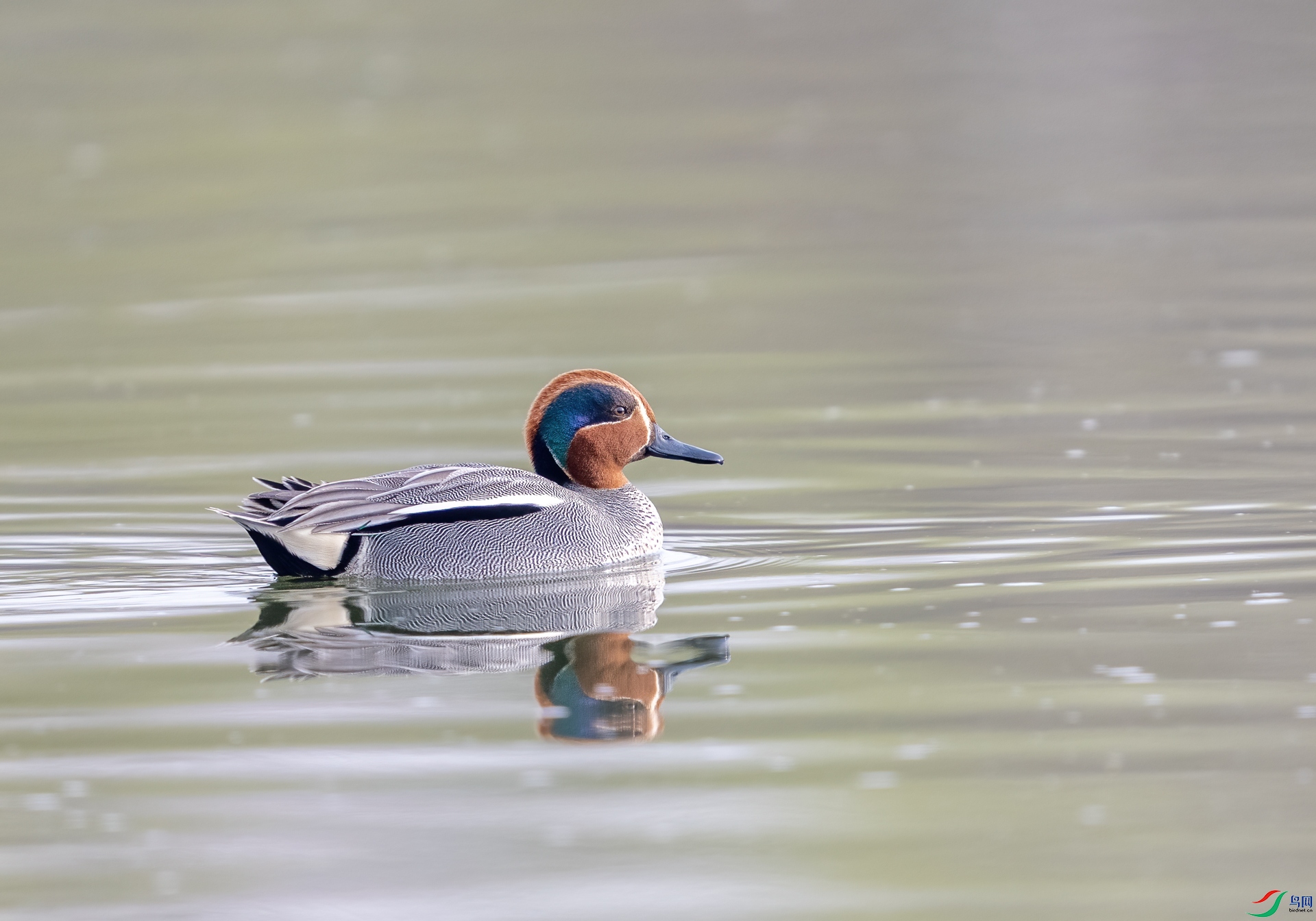 DSC_9345.jpg