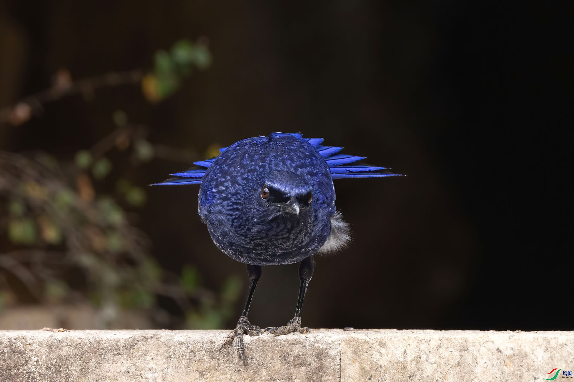 3F8A5914 ����.jpg