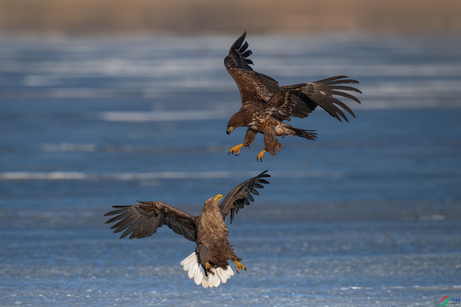 _DSC2384-1xx.jpg
