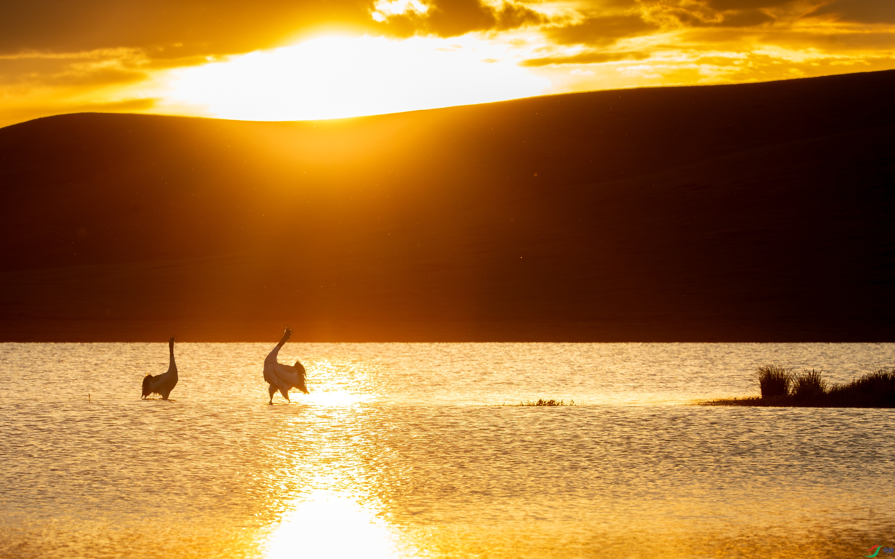 3S5A0469- ����.jpg