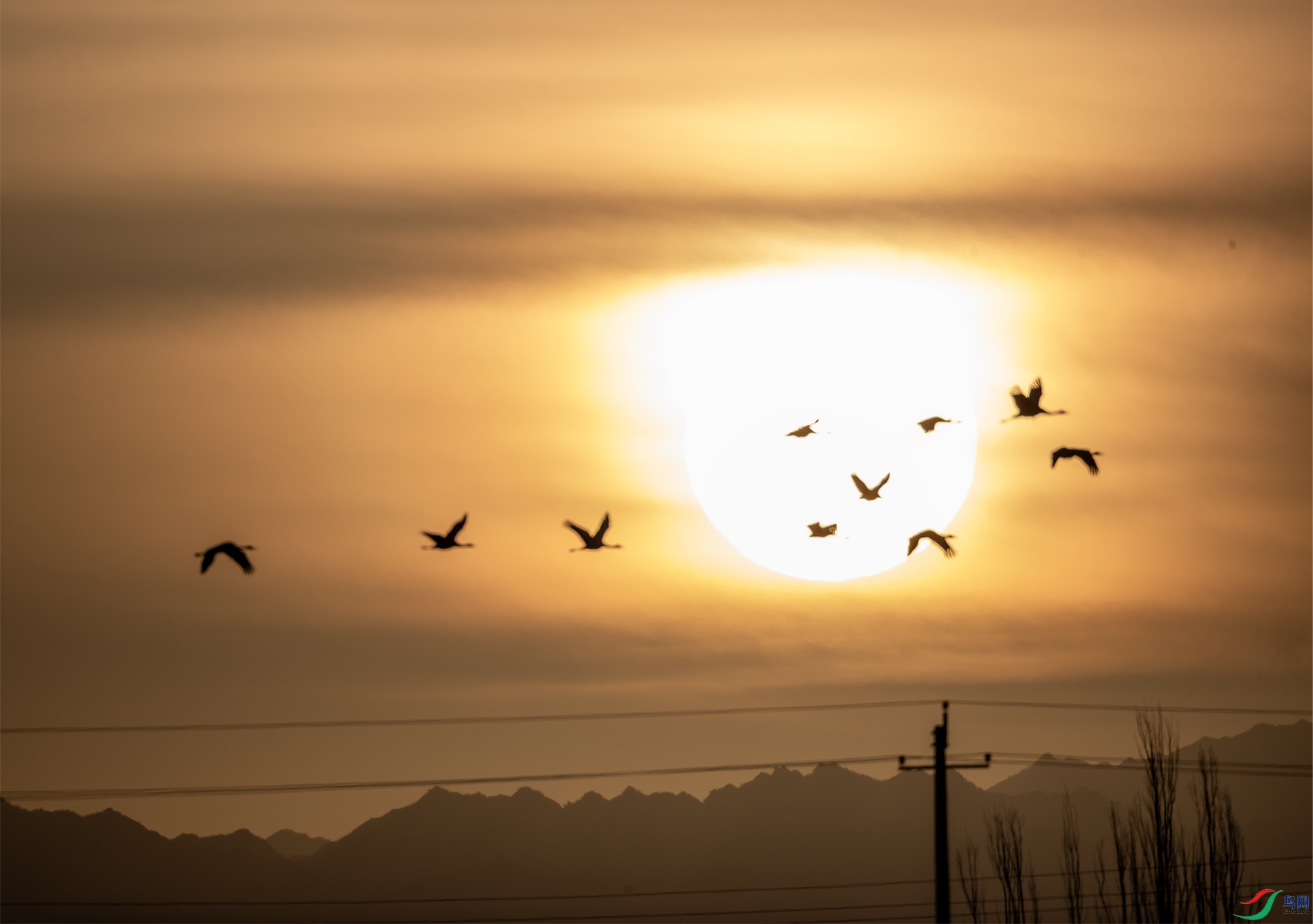 ̫������84 ����.jpg