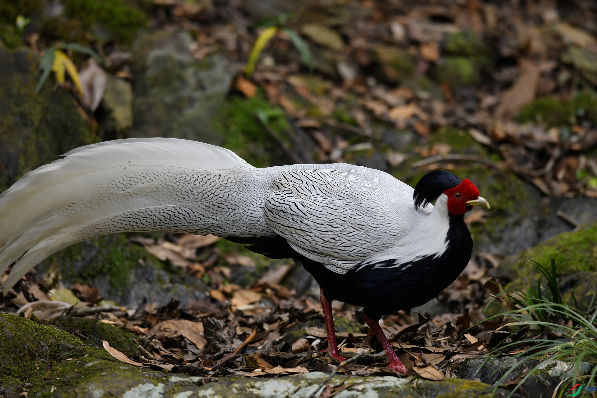 DSC_3919.jpg