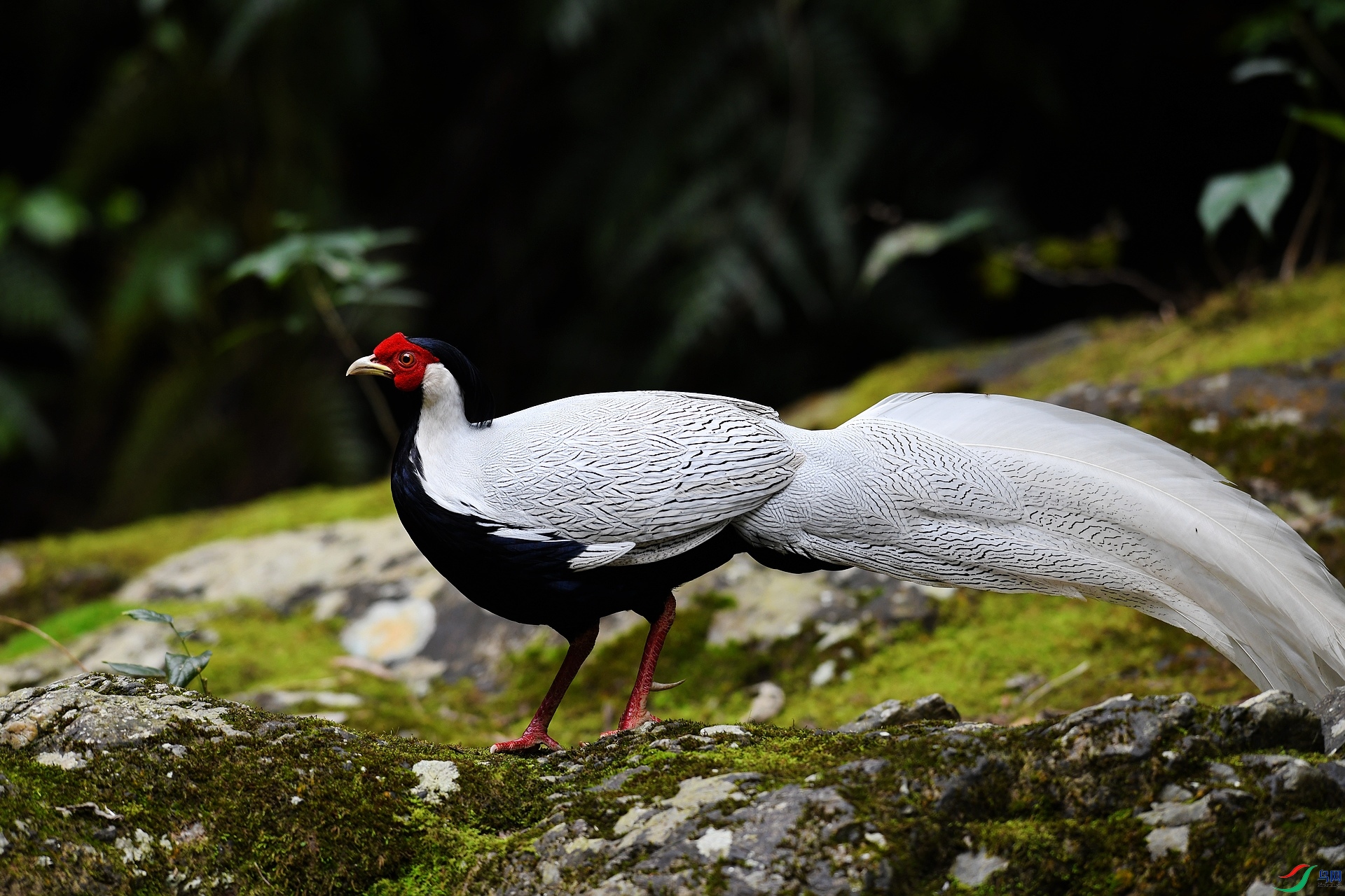 DSC_3748.jpg