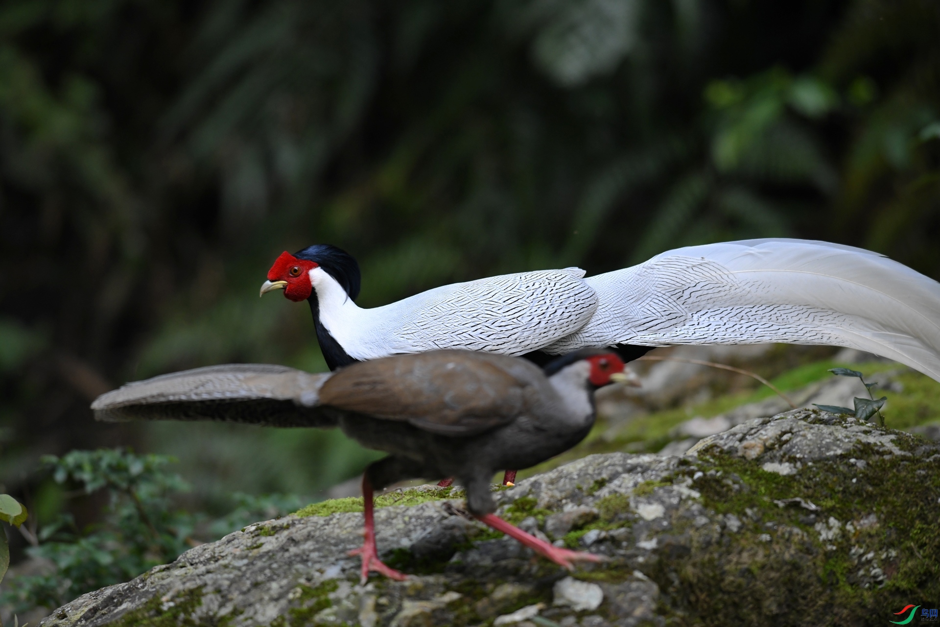 DSC_4118.jpg