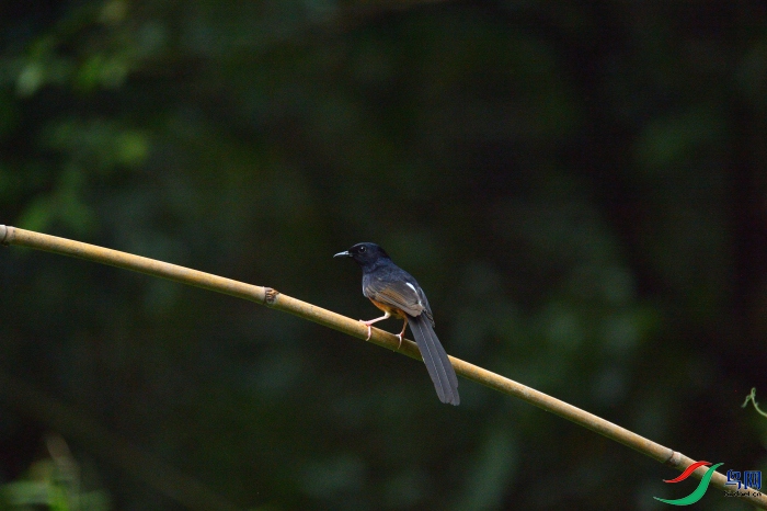DSC_0304.JPG