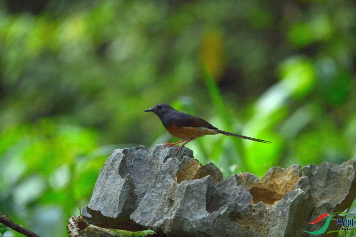 DSC_0961.JPG