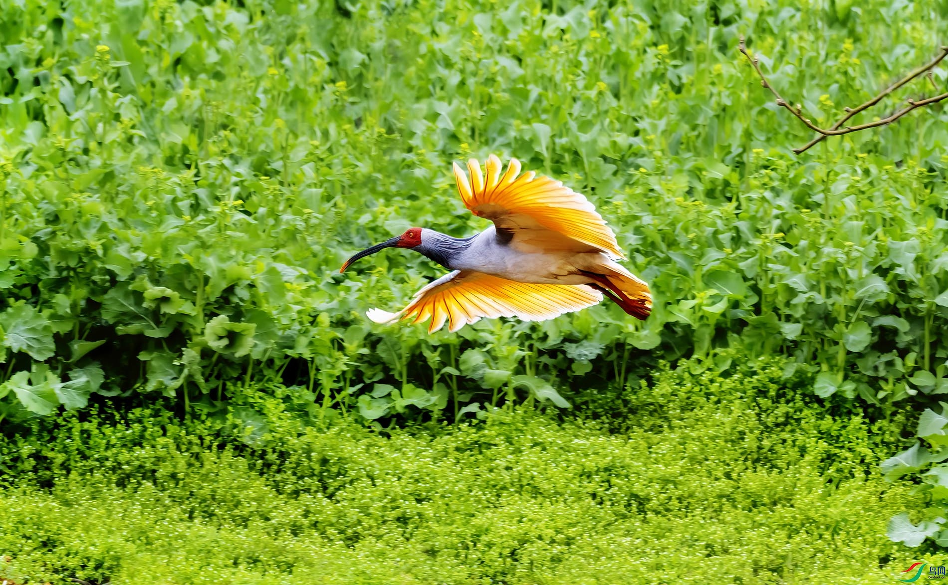 ���q���Ͳ˻�������