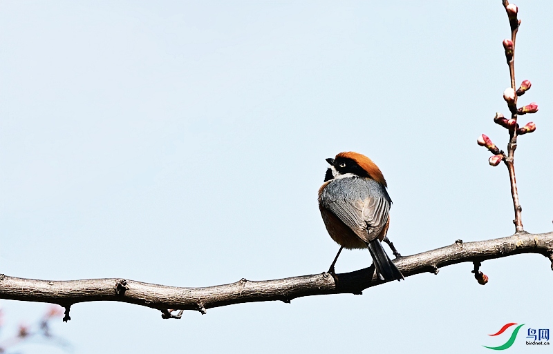 DSC_2292.JPG