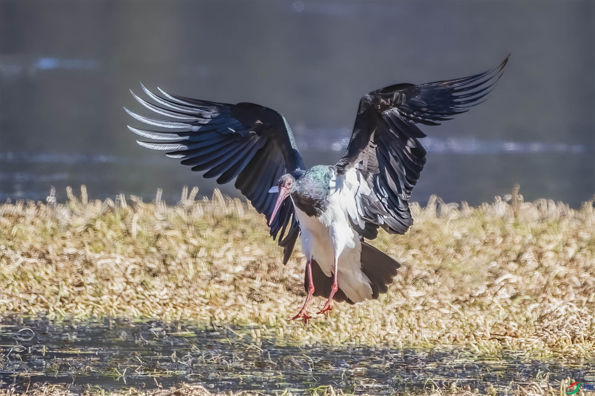DSC_6814.jpg