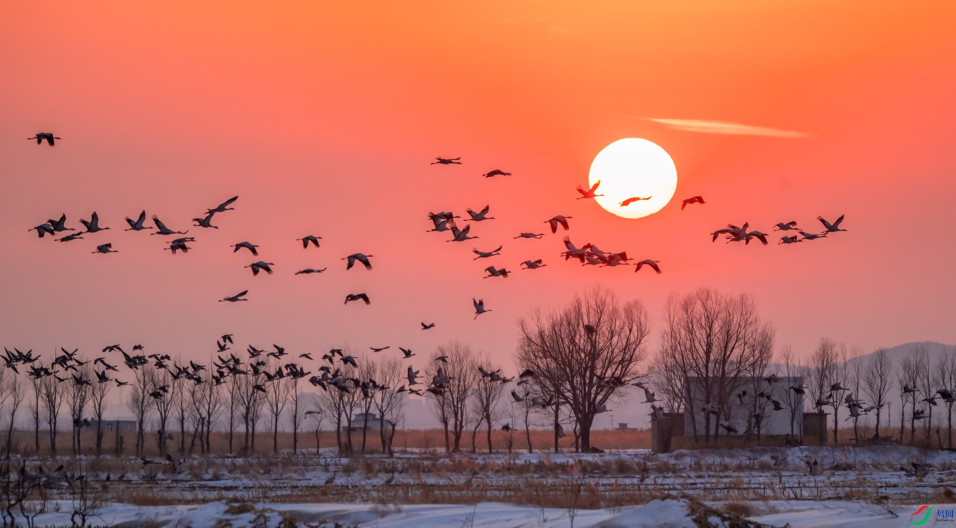 �Һ��붹��